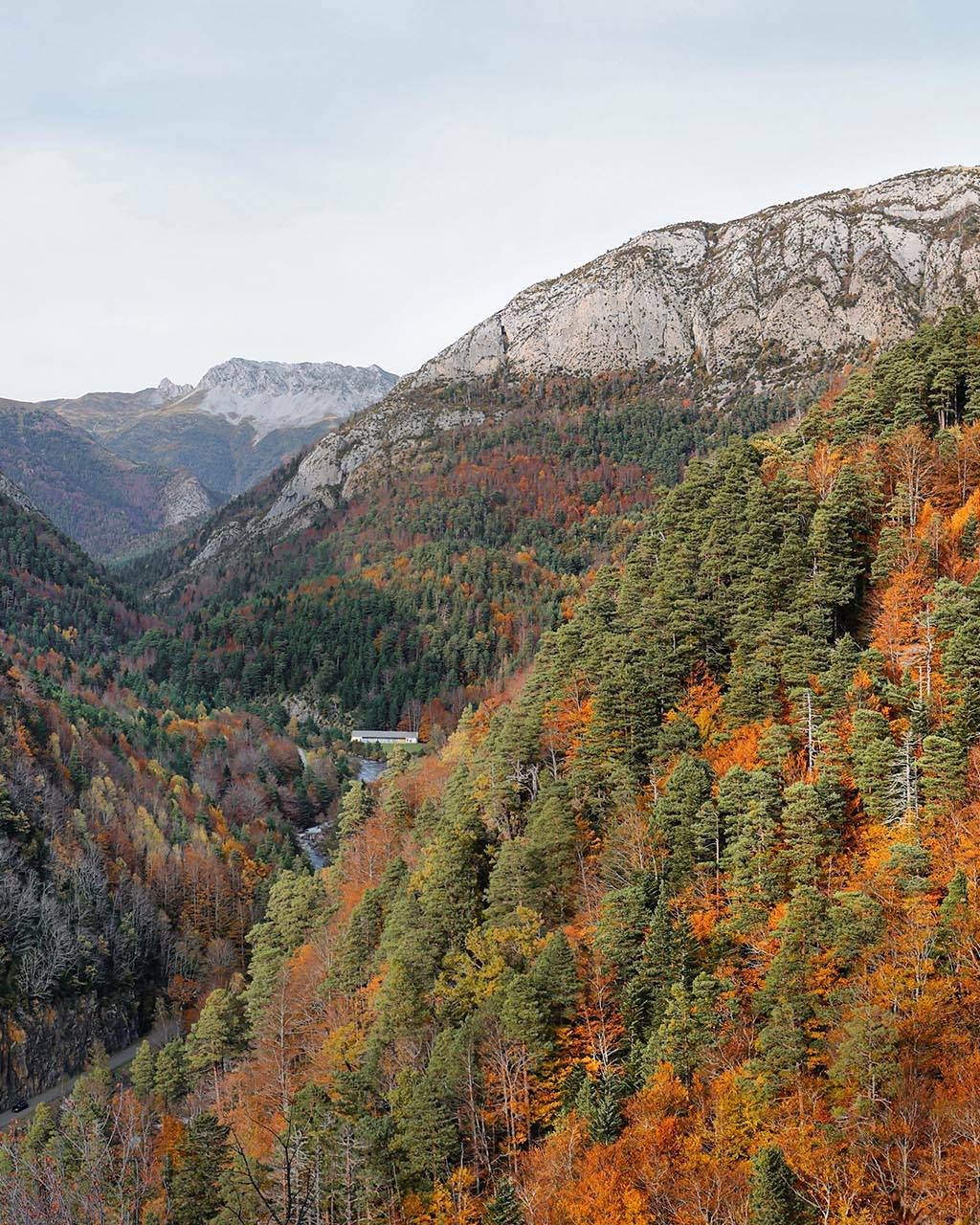 A vibrant mountain valley in autumn, with a rich tapestry of red, orange, and green trees leading to rocky peaks under a pale sky. Part of the best cycling climbs in the Pyrenees.