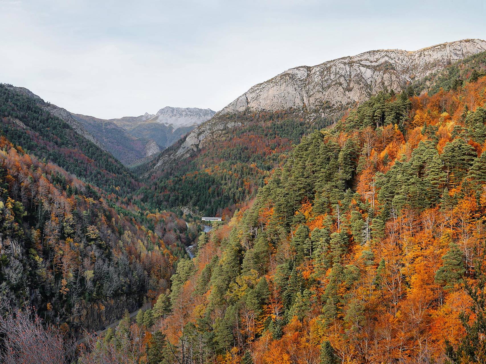 A vibrant mountain valley in autumn, with a rich tapestry of red, orange, and green trees leading to rocky peaks under a pale sky. Part of the best cycling climbs in the Pyrenees.