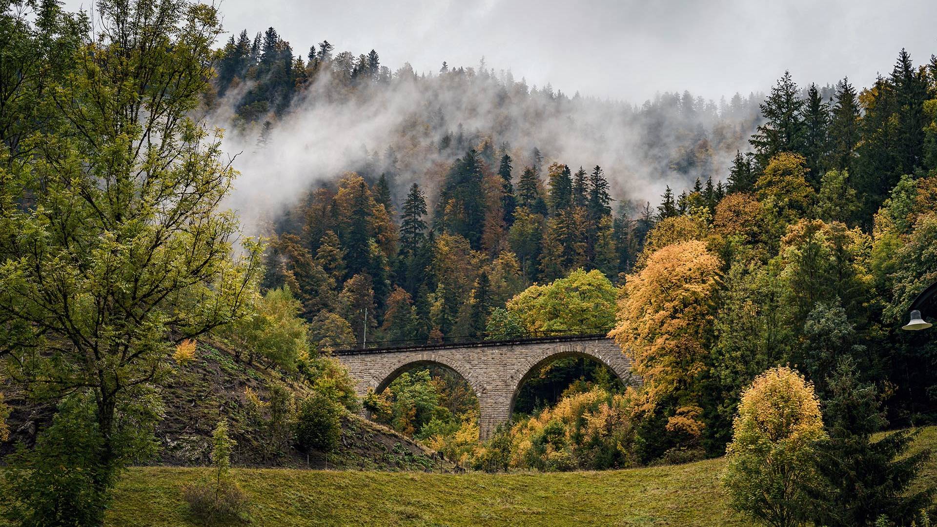 A picturesque stone viaduct spans across a lush valley surrounded by vibrant autumn foliage, with mist rising through the dense forest in the background, creating a serene and enchanting atmosphere.