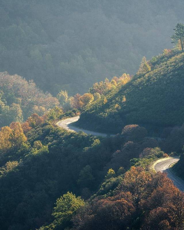 A winding mountain road surrounded by lush autumn foliage, offering a tranquil and scenic route for unforgettable cycling holidays.
