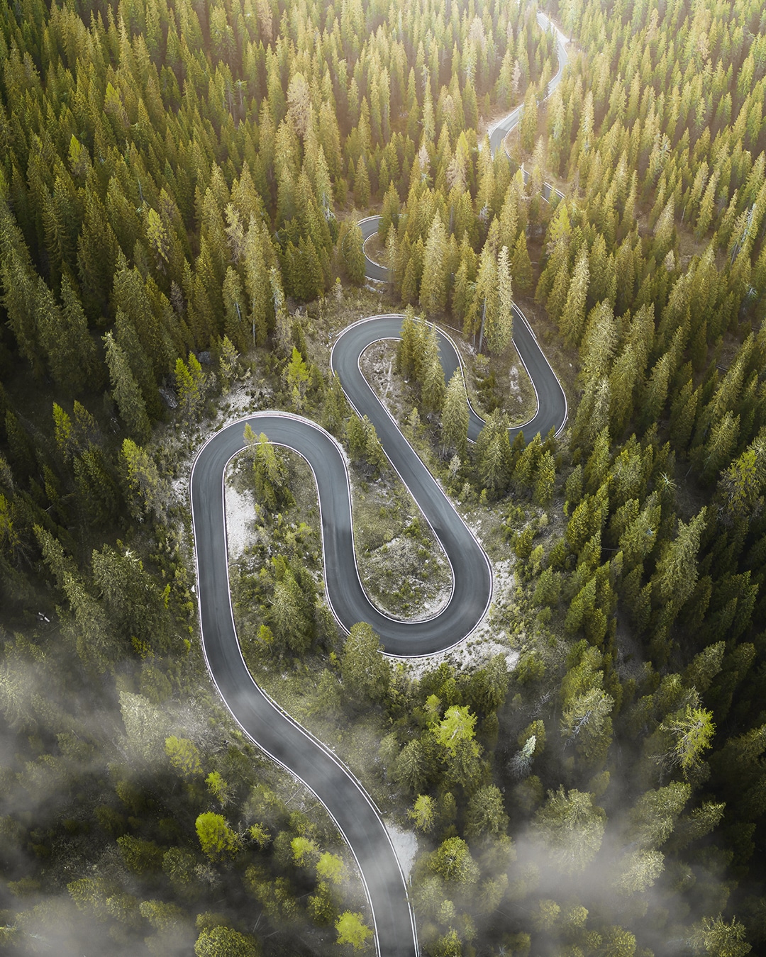 An aerial view of a winding road weaving through a dense, lush forest, bathed in soft sunlight and partially shrouded by mist, creating a mesmerizing and serene natural landscape.