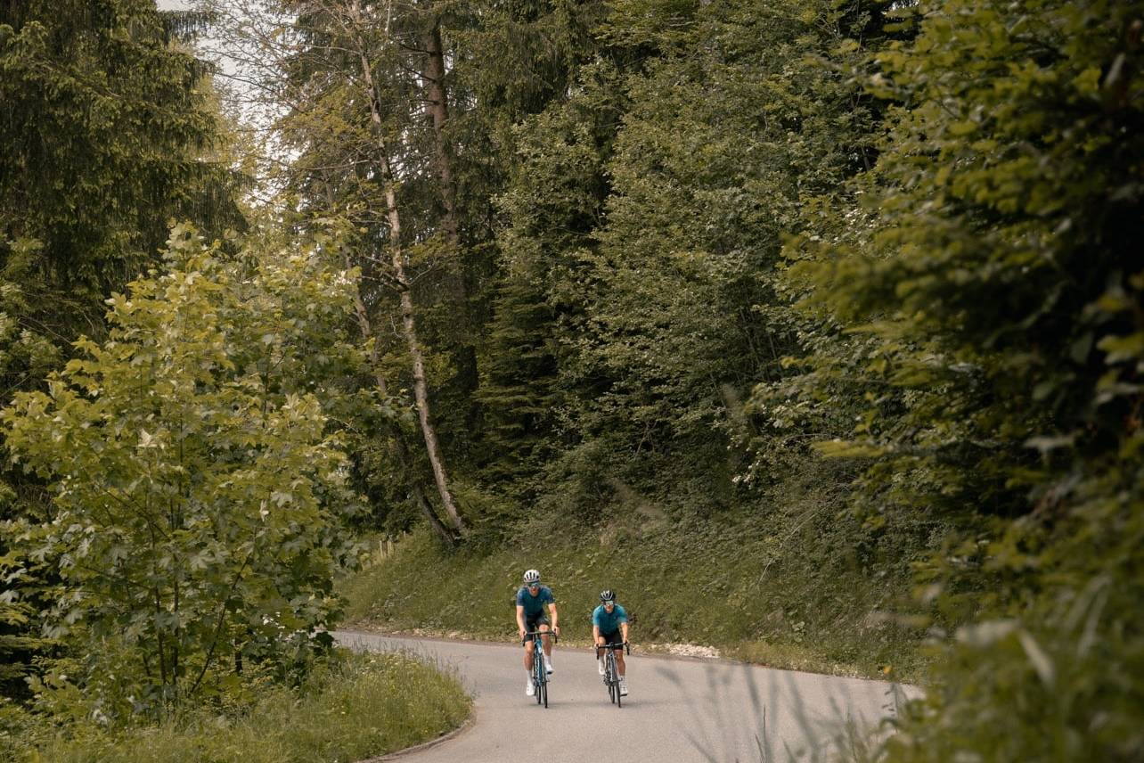 Two cyclists in blue jerseys riding side by side on a winding road surrounded by dense green forest, with tall evergreen trees and lush vegetation on both sides.