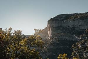 A tranquil view of Provence's limestone cliffs glowing under soft sunlight, framed by lush green treetops.