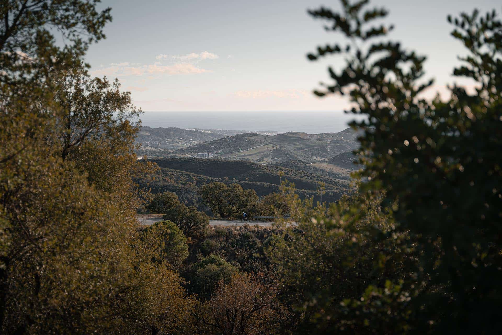 A serene view of Andalusia's rolling hills leading to the distant coastline, framed by lush greenery, with a lone cyclist on a winding road.