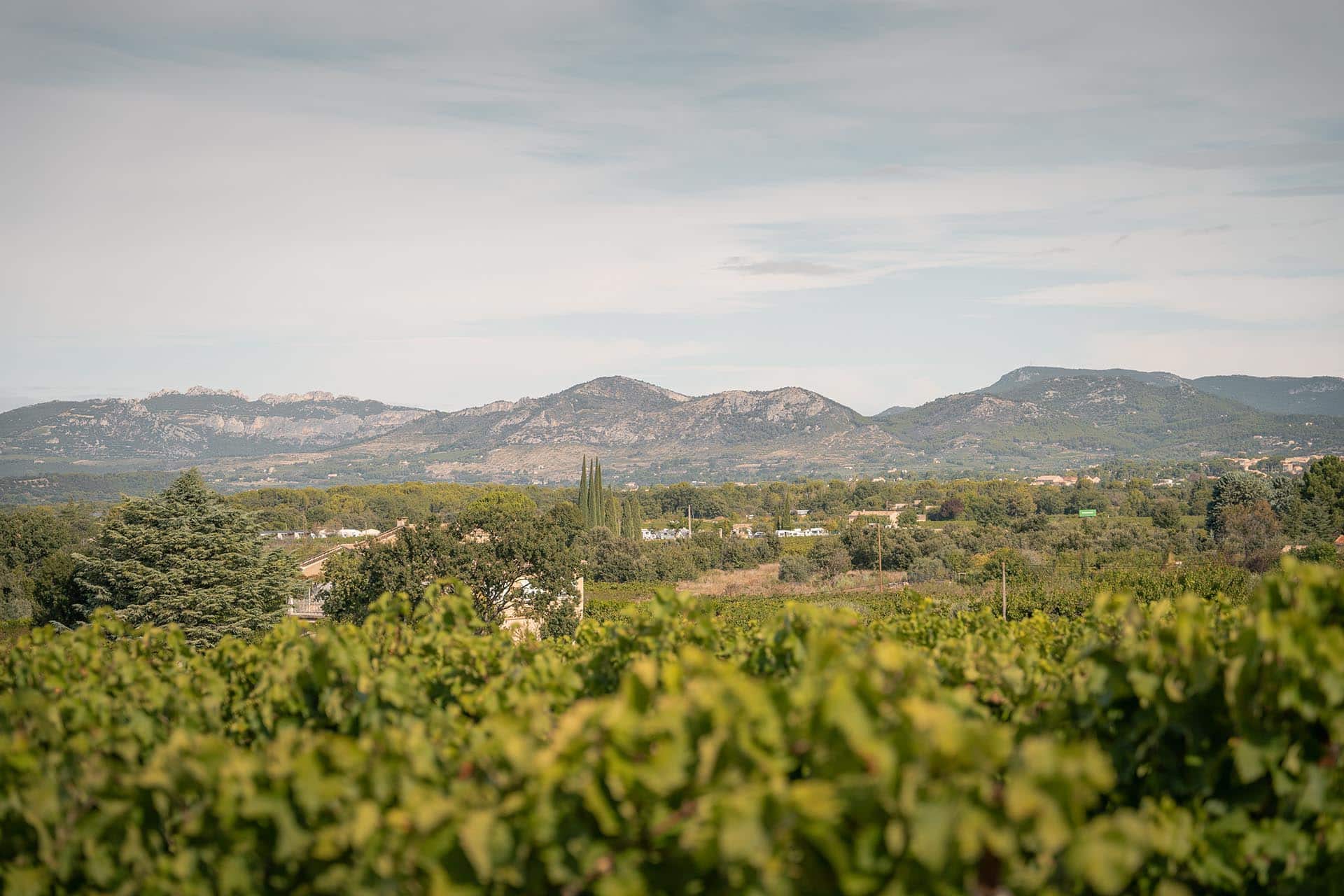 2 - 6 May 2026 5 days | 4 nights Ride Girona’s best roads together and enjoy a colourful, food filled Catalan escape.