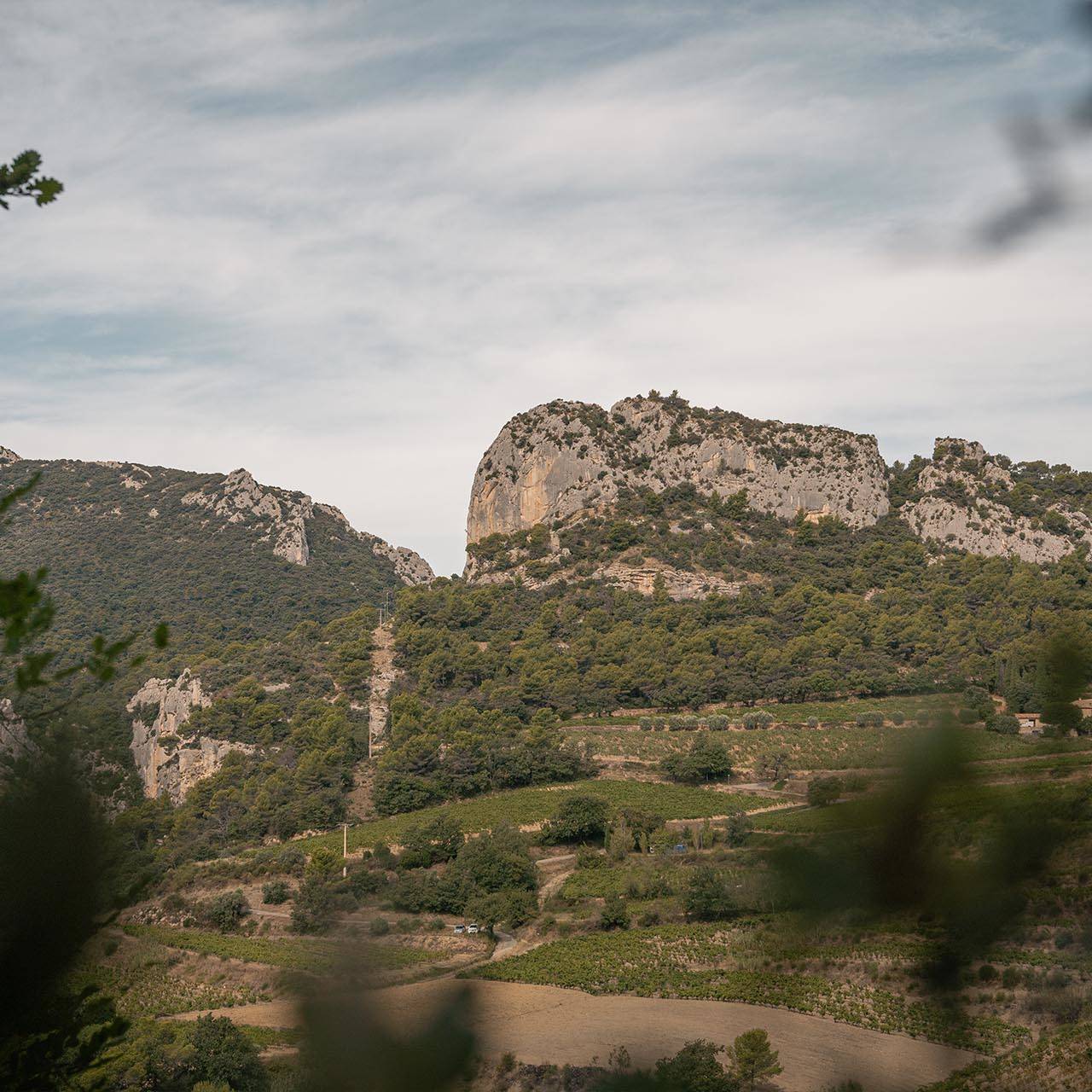 11 - 18 April 2026 8 days | 7 nights Start your triathlon season strong with expert coaching in the heart of Provence.