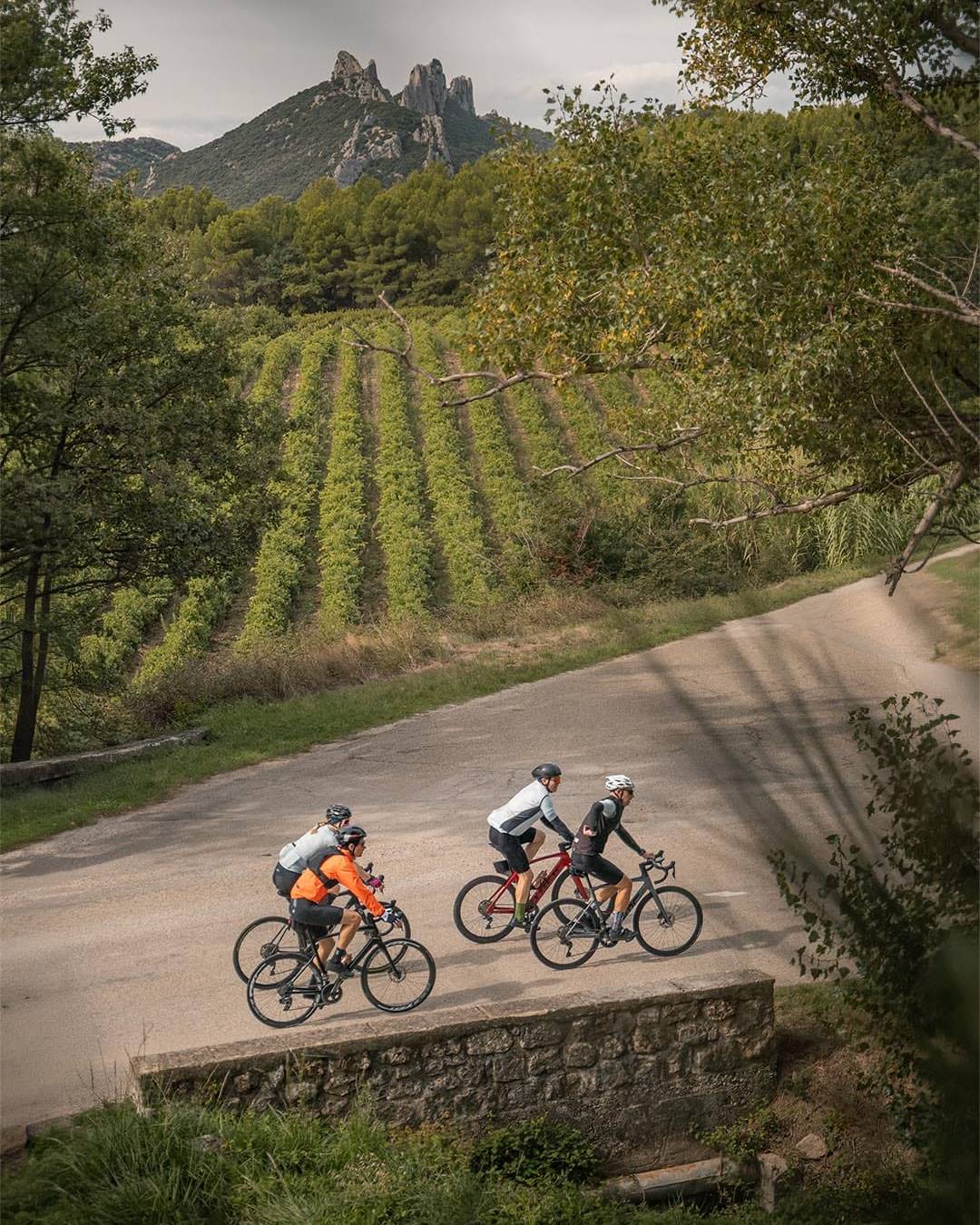 11 - 18 April 2026 8 days | 7 nights Start your triathlon season strong with expert coaching in the heart of Provence.